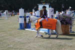 Manon met Pitti Donna Gronings Kampioen B dressuur cat a/b pony's